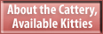 About the Cattery