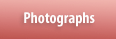 Cornish Rex Photographs